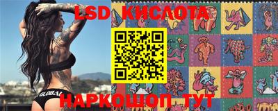 прущие крисы Можга