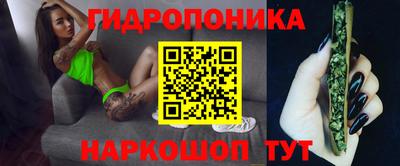 прущие крисы Можга