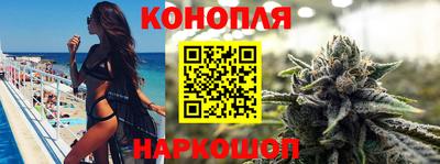 прущие крисы Можга