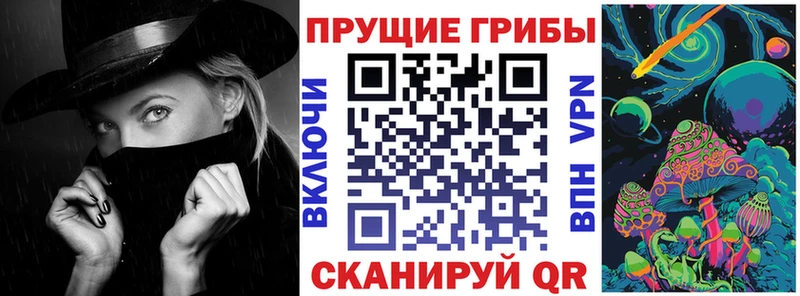 Псилоцибиновые грибы Psilocybe  гидра ссылки  Сибай 