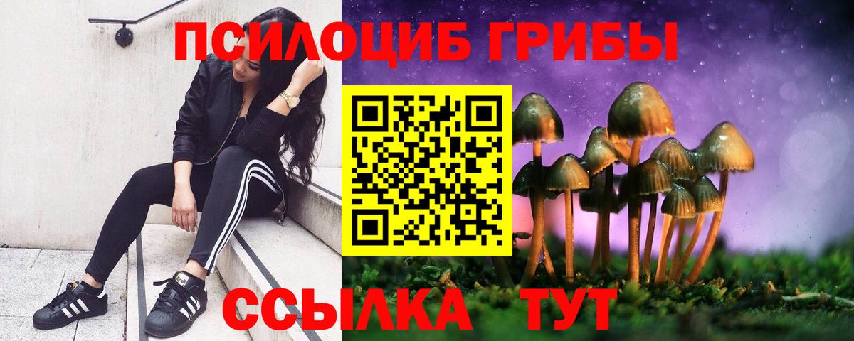 Галлюциногенные грибы Magic Shrooms Сибай